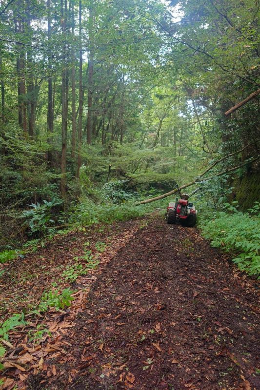 廃線になりかけの林道をリフレッシュ中！朝4時頃からスタートさ…（写真3）